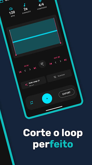 Perfect Loop Screenshot 1