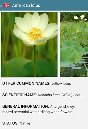 Aquatic Plants Screenshot 2
