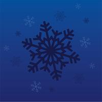 BlueTem Winterdienst