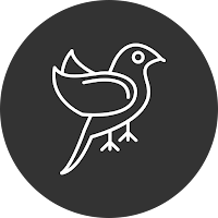 Golden Birds Game