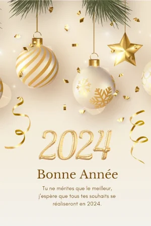Bonne année 2024 Screenshot 0