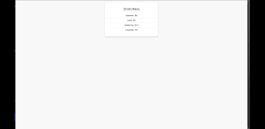 Erply Ads Display Screenshot 2