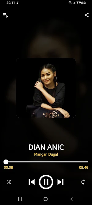 Dian Anic MP3 Offline Screenshot 3