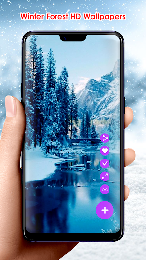 Winter Forest HD Wallpapers Screenshot 1