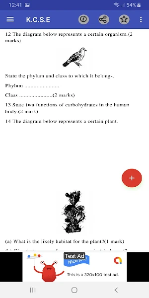 Kcse 2011: past papers. Screenshot 3