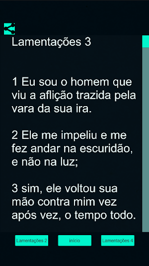 Lamentações Bíblicos Screenshot 2
