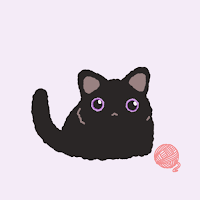 카카오톡 테마 - Black Cat 흑당이