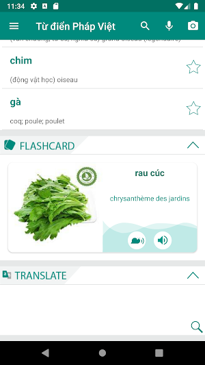 Vietnamese French Dictionary Screenshot 0