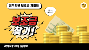 보조금24 - 보조금 복지지원금 신청정보 도우미 앱 Screenshot 0