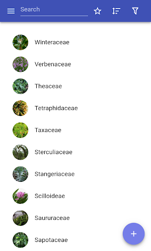 Botanical families Screenshot 0