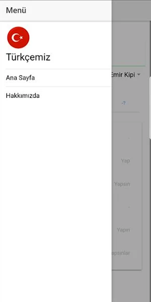 Türkçemiz Screenshot 1