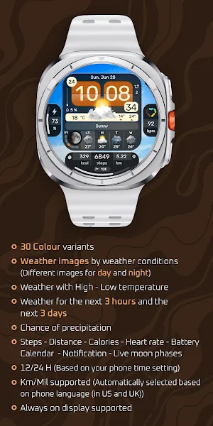 Weather Dashboard - Watch Face Screenshot 3