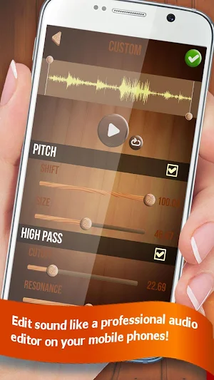 Professional Voice Changer Screenshot 2