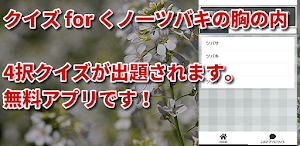 クイズ for くノ一ツバキの胸の内/アニメ検定アプリ Screenshot 0