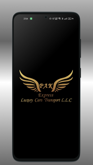 PAK EXPRESS LIMOUSINE Screenshot 0