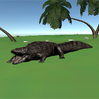 Crocodile Simulator