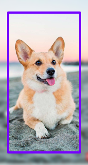 Baby Dogs Wallpaper HD Screenshot 1