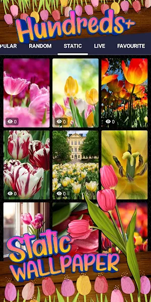 tulip wallpaper Screenshot 3