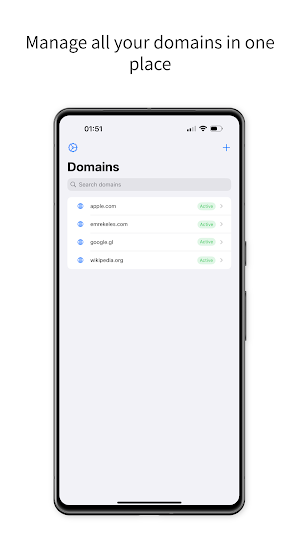 Cloudflare Manager Screenshot 1