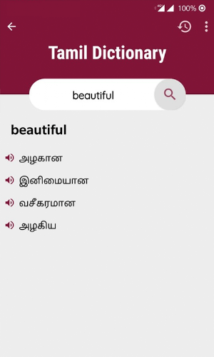 tamil to english translation Screenshot 3