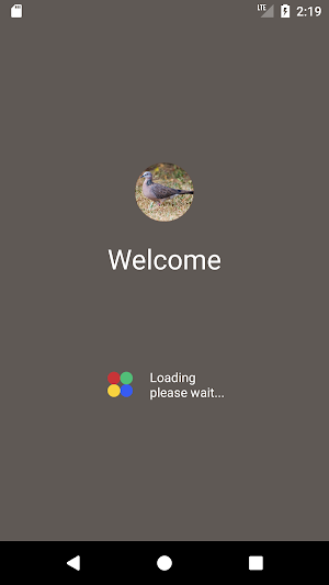 Spotted dove sound Screenshot 0