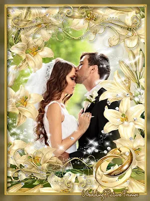 Wedding Picture Frames Screenshot 3