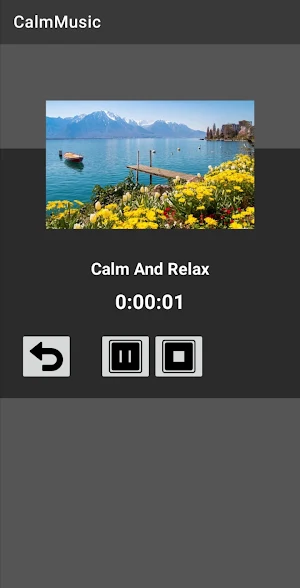 Calm Music Screenshot 1