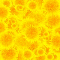 Dandelion Live Wallpaper