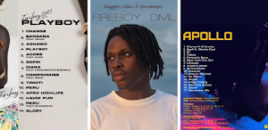Fireboy DML Songs & Album 2023 Screenshot 0