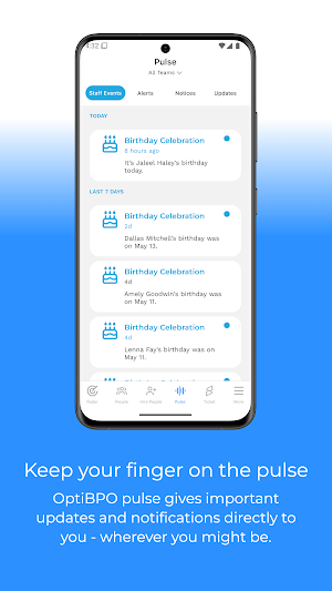 OptiBPO Screenshot 3