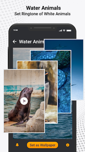 Animal Ringtones & Sounds Screenshot 3