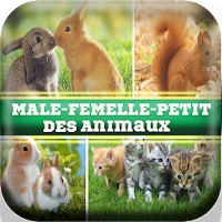 Femelle des animaux- Noms des 