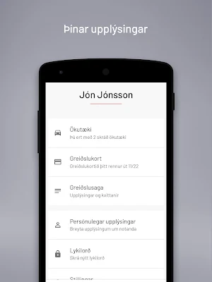 Veggjald Screenshot 3