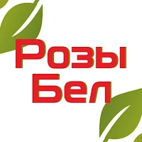 Розы Бел • Доставка Цветов