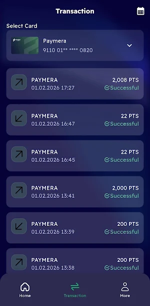 Paymera Screenshot 2