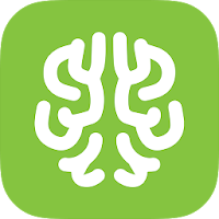 Cortex