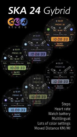 SKA 24 Gybrid Screenshot 2