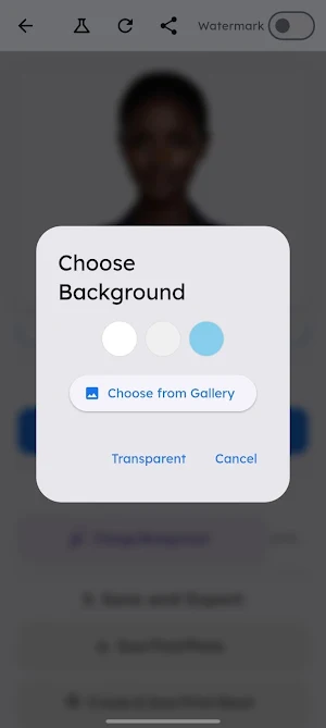 VisageID: Visa Passport Photo Screenshot 3