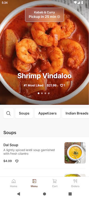 Kabab & Curry Screenshot 1