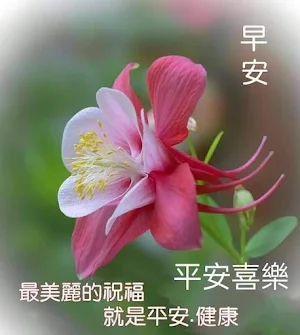 早上好 Screenshot 3