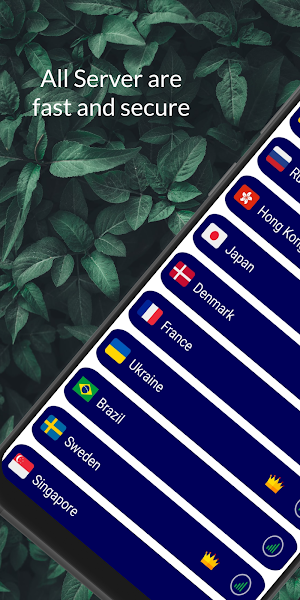 Everest VPN Fast unlimited VPN Screenshot 1