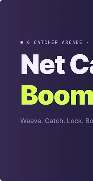 Net Catcher Boom Screenshot 0