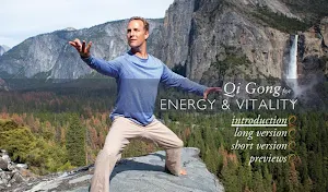Qi Gong for Energy & Vitality Screenshot 0