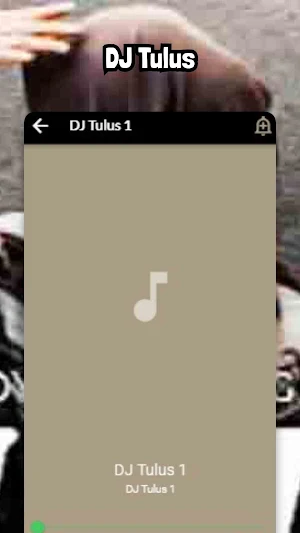 DJ Tulus Screenshot 2