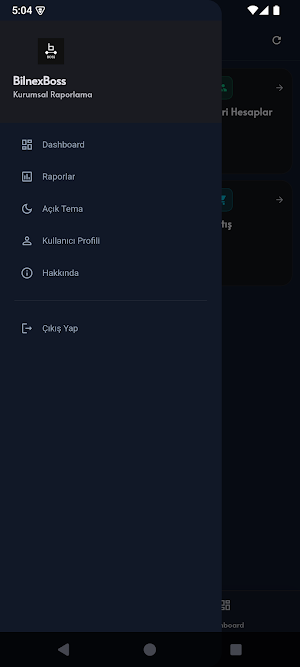 Bilnex Boss Screenshot 2