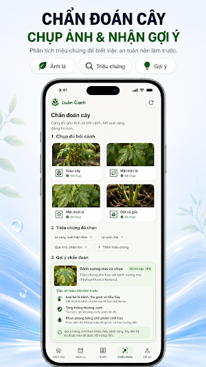 Luân Canh Screenshot 3