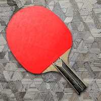 Ping Pong X: Realistic 2D Game
