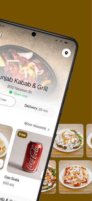 Punjab Kabab & Grill Screenshot 1