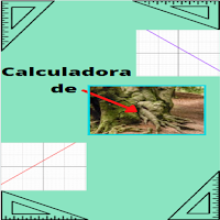 Equação do primeiro grau