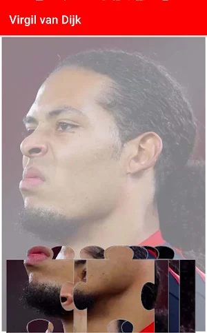 Virgil van Dijk Wallpapers,puzzle Screenshot 2